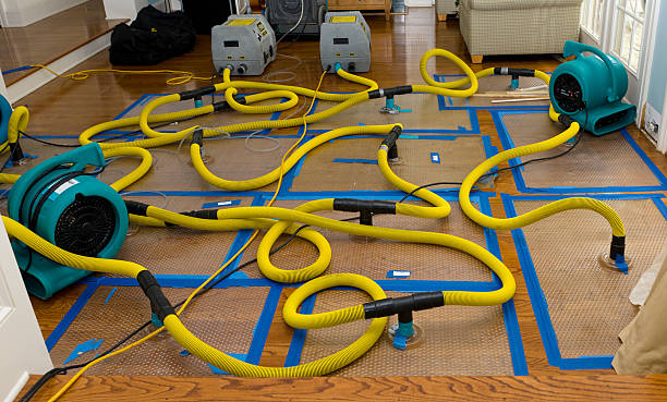 Professional Water Damage Repair technician working in Sunset, TX